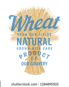 Bunch of wheat logo, rye spikelets and corn seeds for making bread and flour. Natural cereals, whole grains and organic farmer oat product. Hand drawn label badge. Vintage sketch Doodle style.