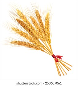 Bunch of wheat on white  background. Vector illustration.