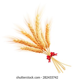 Bunch of wheat on white background. EPS 10 vector file included
