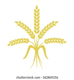 Bunch of wheat on white background. Vector illustration.