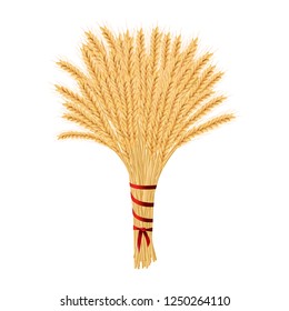 Bunch of wheat. Reap of spiked grain heads. Christmas sheaf. Sheaf of crop ears. Spikes, Julkarve, Julenek, vector illustration.