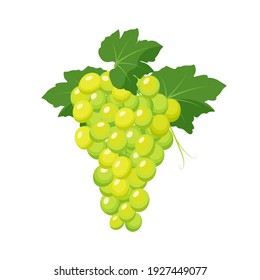 Montón de uvas blancas. Producto de uva, ilustración vectorial aislada en fondo blanco.