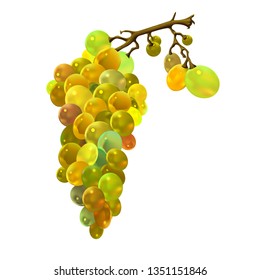 BUNCH OF   white GRAPES  image fruit juice