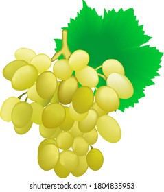 
racimo de uvas blancas con hojas aisladas en fondo blanco