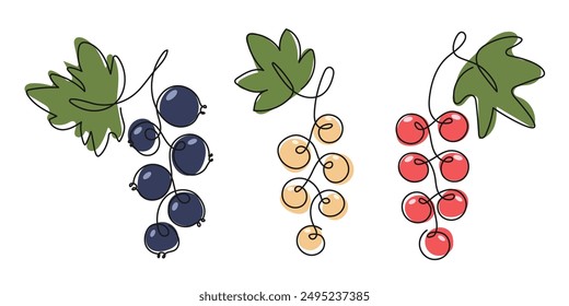 Bunch of white red black currant. Doodle Abstract drawn Ripe fresh berry Fruit. Summer garden harvest. Healthy vegan organic vitamin food. Tea jam dessert ingredient. Element for design