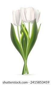 Bunch of white tulips on white background. Realistic spring colorful flowers vector illustration. Floral decorative plants with petals and green leaves in blossom.