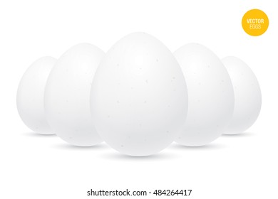 Bunch of white vector eggs. Realistic vector eggs isolated on a white background.