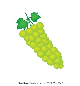bunch of white wine grapes- vector illustration