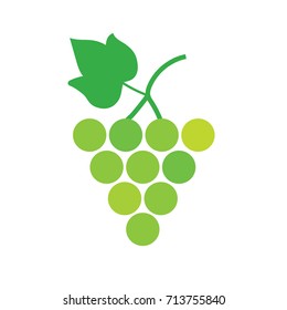 bunch of white wine grapes- vector illustration