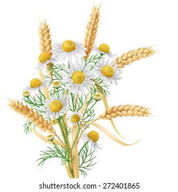 Bunch of  wild chamomile flowers with wheat ears.