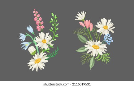 Montón de flores silvestres y de camomilas. Flores de pradera en flor silvestre, diseño floral decorativo ilustrativo vectorial