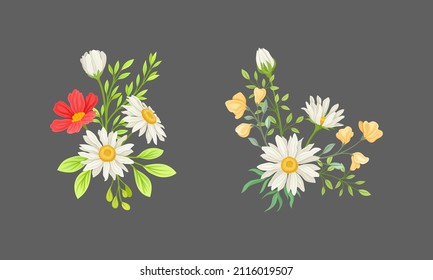 Bunch of wildflowers set. Wild blooming meadow flowers, decorative floral design vector illustration