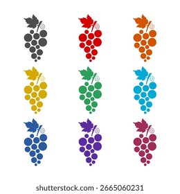 Bando de ícone de uva de vinho isolado no fundo branco. Definir ícones coloridos