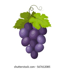 Bunch of wine grapes icon in cartoon style isolated on white background. Spain country symbol stock vector illustration.