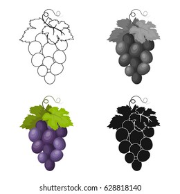 Bunch of wine grapes icon in cartoon style isolated on white background. Spain country symbol stock vector illustration.