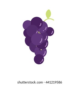 Bunch of wine grapes with leaf flat color with high light