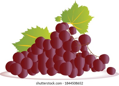 Bunch de uvas de vino con hojas