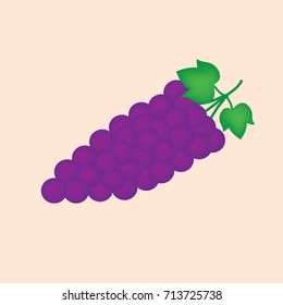 bunch of wine grapes- vector illustration