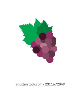 Vectores de uvas de vino sobre un fondo blanco