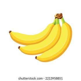 Bunch of yellow bananas isolated on white background. Vector illustration of bananas in a flat style