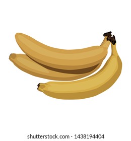 bunch of yellow bananas. tropical fruit. vitamin breakfast. isolated on white background
