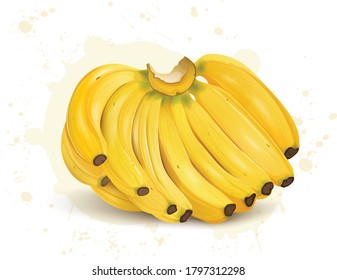 bunch of yellow bananas vector illustration 