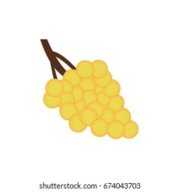 Bunch of yellow grapes with isolated on white background.