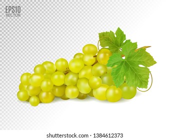 Bunch of yellow or green grapes with vine leaves isolated on transparent background. Cluster of grape. Realistic, fresh, natural food, dessert. 3d vector illustration for agriculture design.