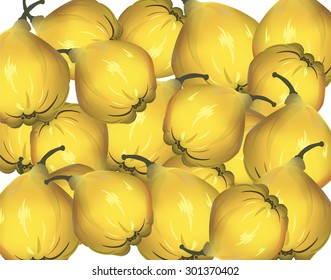 Bunch of Yellow quinces. Vector