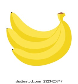 Bunch of yellow ripe bananas. Vector illustration cartoon flat icon isolated on white eps 10