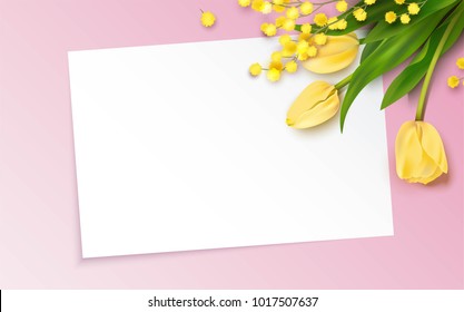 Bunch of yellow tulips and mimosa branch on pink background. Beautiful romantic background with place for text. Vetor illustration