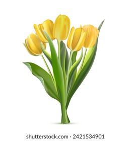 Bunch of yellow tulips on white background. Realistic spring colorful flowers vector illustration. Floral decorative plants with petals and green leaves in blossom.
