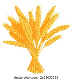Bunch of yellow wheat ears tied together — rustic and organic vector design perfect for harvest festival posters or natural food branding.