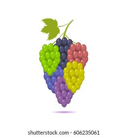 Bunche of multicolored grape set. Wine and desert grape