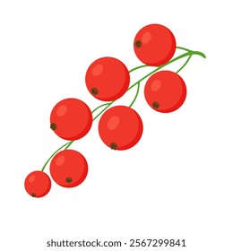 Bunche of red currant berries. Hand drawn Trendy flat style isolated illustration Berry for Jam. Vector illustration