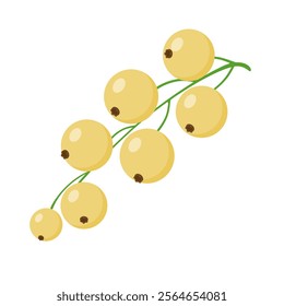 Bunche of White Currant Berries. Hand drawn Trendy flat style isolated illustration Berry for Jam. Vector illustration