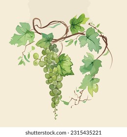 Bunche of white grapes. Green grapes on branch with leaves isolated on beige background. Cluster of berries, branches and leaves. Vector illustration.