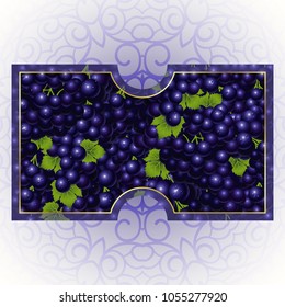 Bunches of the black grapes with dew drops. Vector banner with fresh grapes