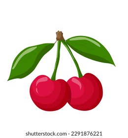 Bunches of cherry isolated on a white background. For labels, menus, poster, print, or packaging design. Vector illustration.