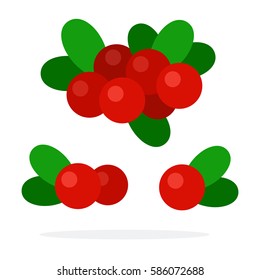 Bunches of cranberries with leaves vector flat material design isolated on white