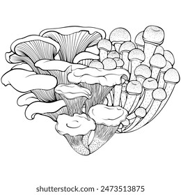 Bunches of different forest mushrooms. Oyster, honey, chanterelle mushrooms. Vector illustration in hand drawn sketch doodle style. Line art graphic food isolated on white. Design for coloring book