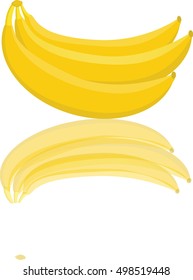 Bunches of fresh bananas fruits isolated on white background, collection of vector illustrations