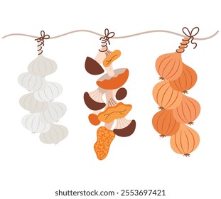 Bunches of garlic, onions and mushrooms. Vector illustration of harvest preparations hanging on a rope, vegetable harvest braid with rope for storage in the kitchen.