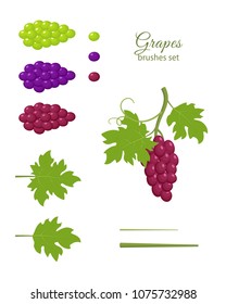 Bunches of grapes, dark red, dark purple and green grapes, green leaves, grapes brushes set, design elements, isolated on white background. Vector illustration