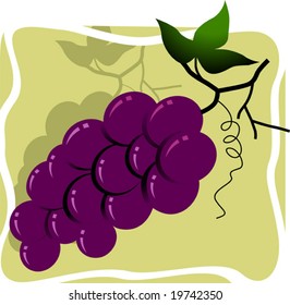 bunches of grapes with leaves	