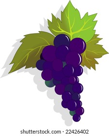 bunches of grapes with leaves	