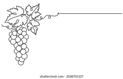 Bunches of grapes and leaves. Vine. Vector line drawing on white or transparent background.