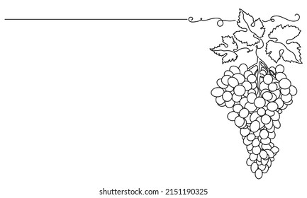 Bunches of grapes and leaves. Vine. Vector line drawing on white or transparent background.