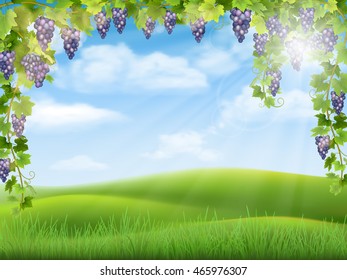 Bunches of grapes like frame on the background of the rural landscape with valley, hills and sky. Vector illustration about the harvest and winemaking. 