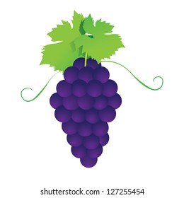 Bunches of grapes. Vector.